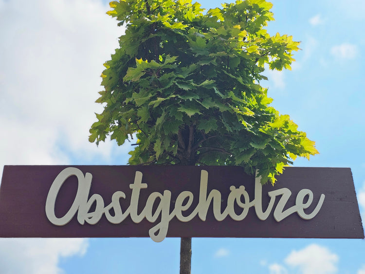 Obst