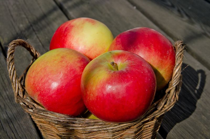 Apfel 'Idared' spät - Malus 'Idared' CAC