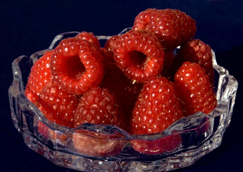 Himbeere 'Tulameen' -S- - Rubus id.'Tulameen' -S- CAC