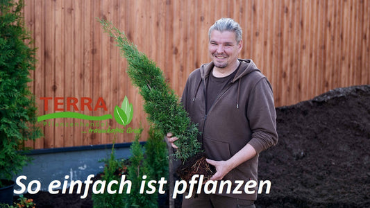 So einfach ist pflanzen...